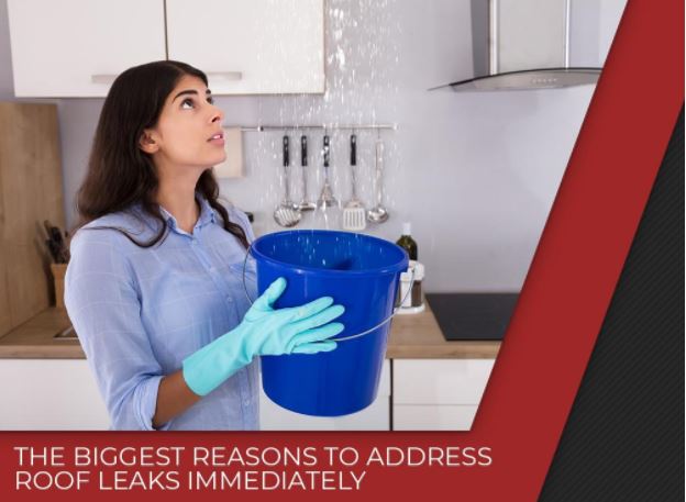 The Biggest Reasons to Address Roof Leaks Immediately