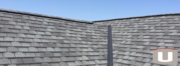 Asphalt Shingle Roof Top