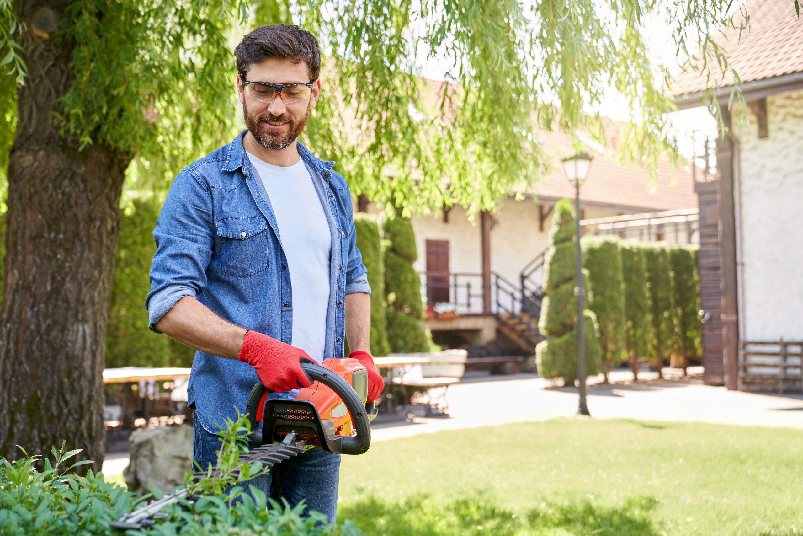 cb85f986b50a159171a9452dff612f3daf2e2440-scaled-1